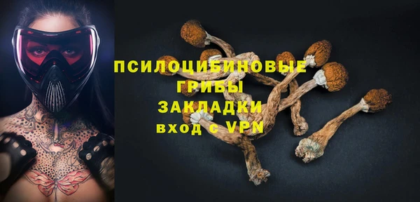 круглые Белокуриха