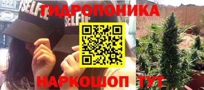 шишки Татарск