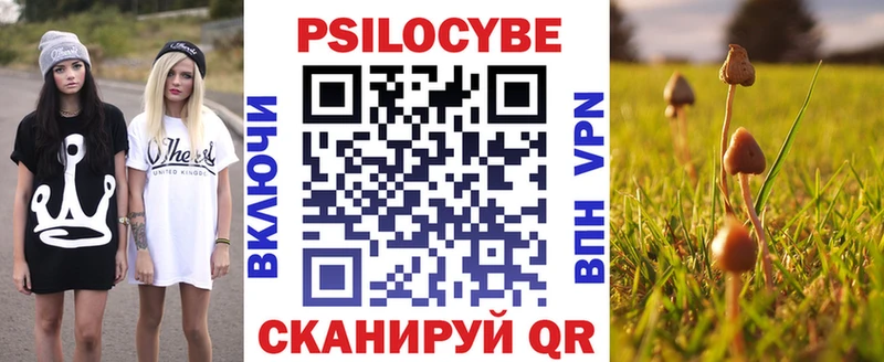 наркота  Дальнегорск  Галлюциногенные грибы ЛСД 