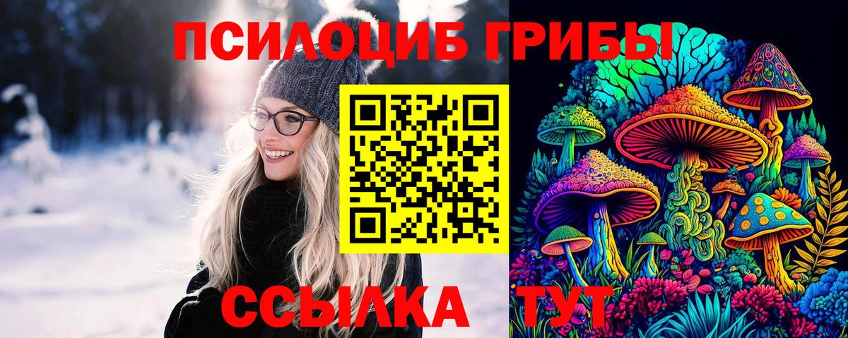 Галлюциногенные грибы Magic Shrooms  Галлюциногенные грибы мицелий  Дальнегорск  Вход с VPN 