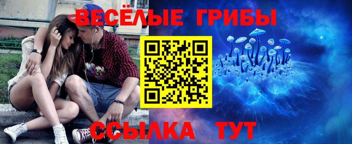 Псилоцибиновые грибы MAGIC MUSHROOMS Дальнегорск